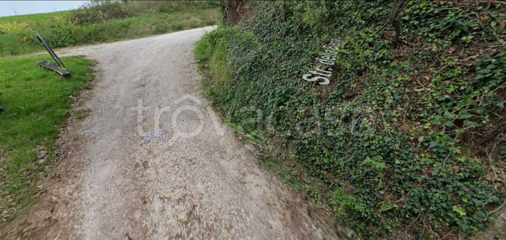 immagine annuncio 3 di 8