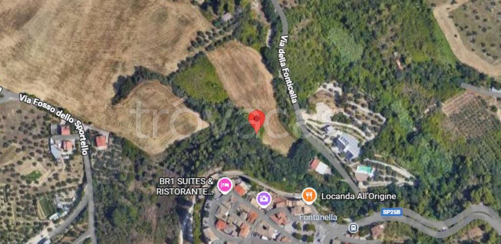 immagine annuncio 9 di 10