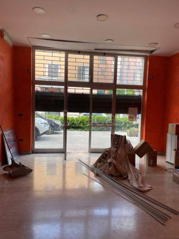 immagine annuncio 2 di 10