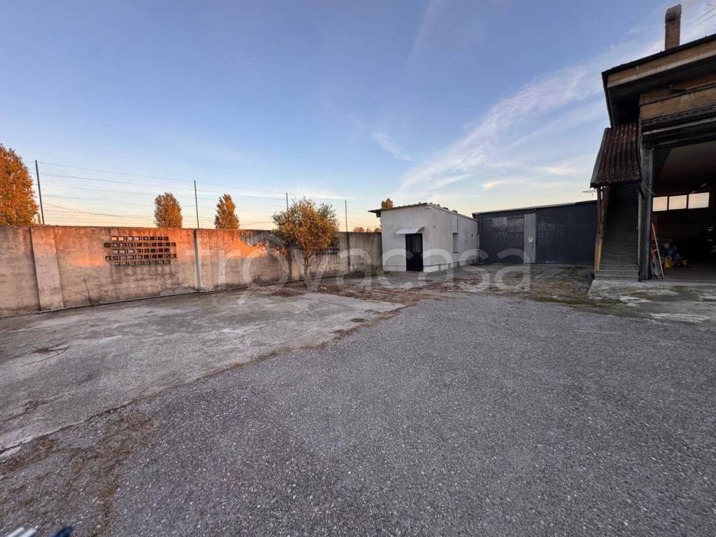 immagine annuncio 4 di 9