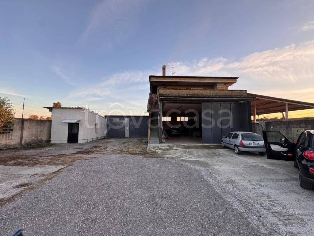 immagine annuncio 6 di 9