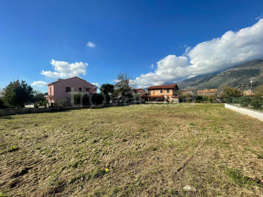 immagine annuncio 10 di 14