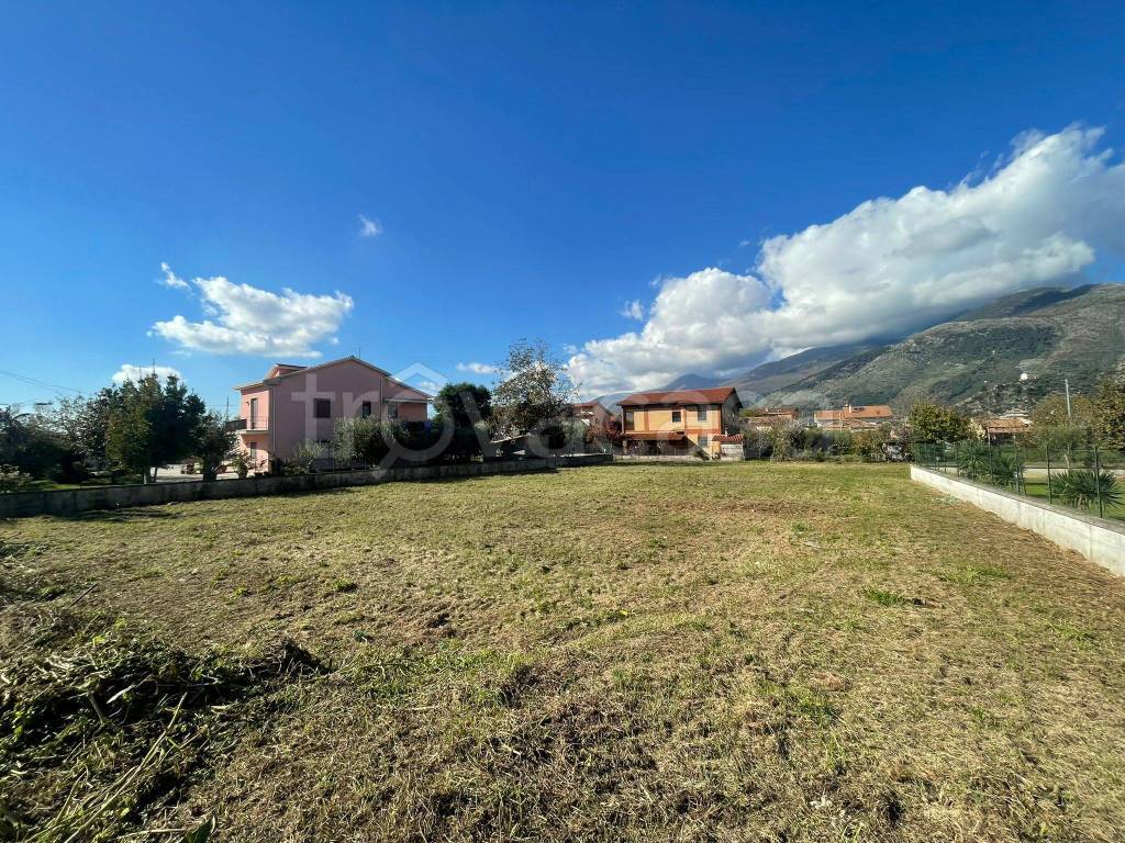 immagine annuncio 12 di 14