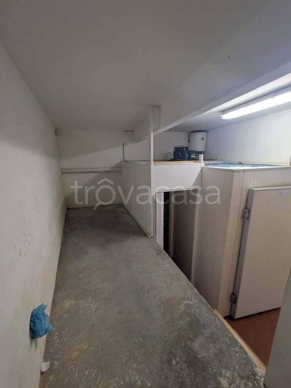 immagine annuncio 8 di 14