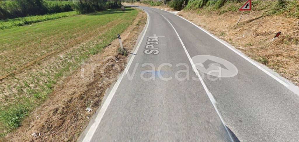 immagine annuncio 7 di 14