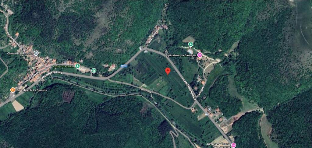 immagine annuncio 12 di 14