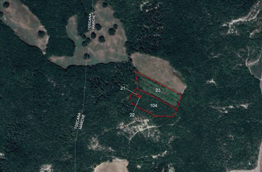 immagine annuncio 10 di 14