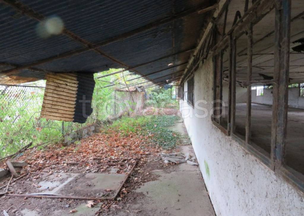 immagine annuncio 4 di 13