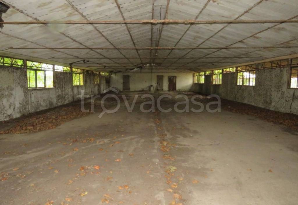 immagine annuncio 7 di 13