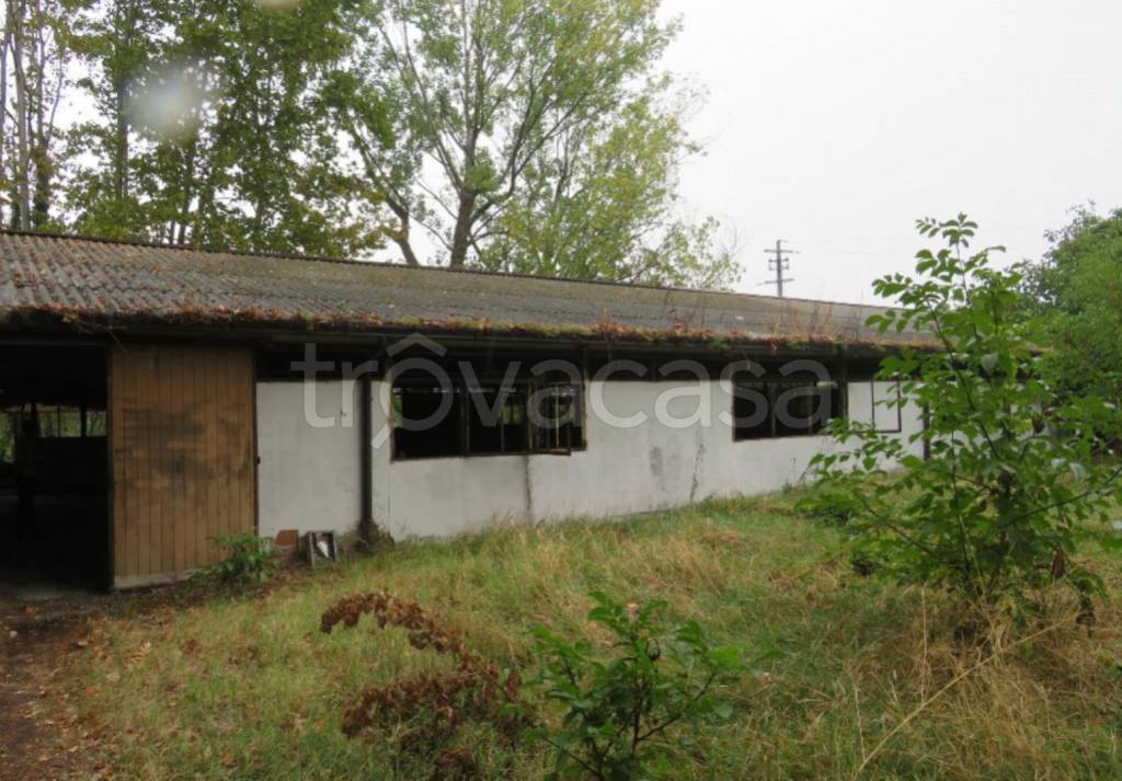 immagine annuncio 11 di 13