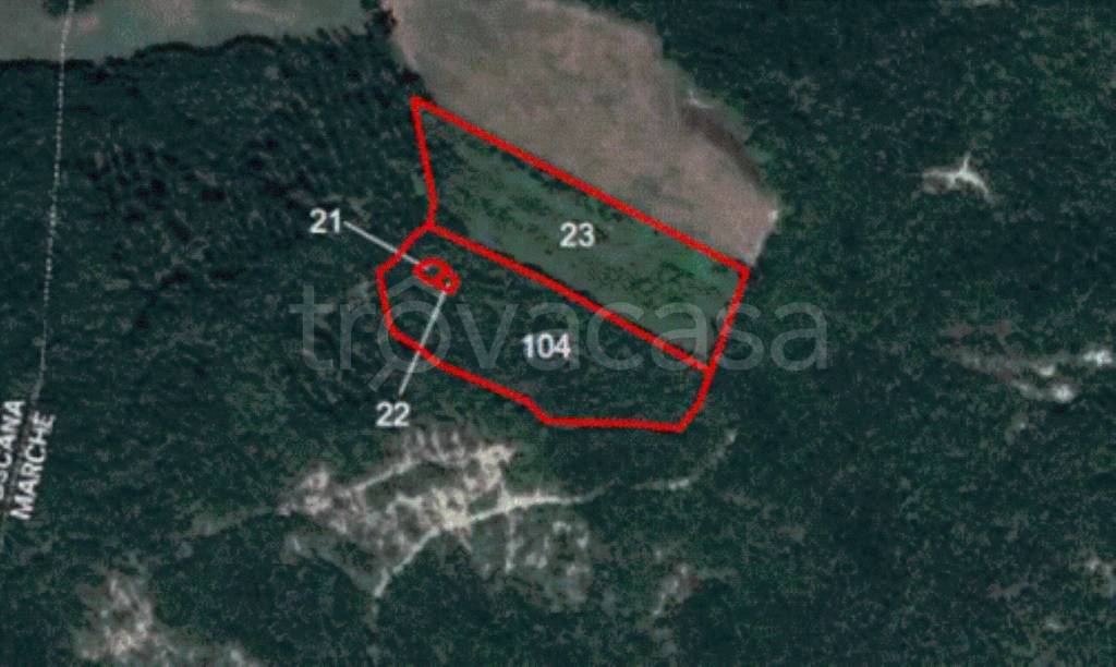 immagine annuncio 11 di 14