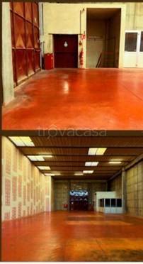 immagine annuncio 2 di 9