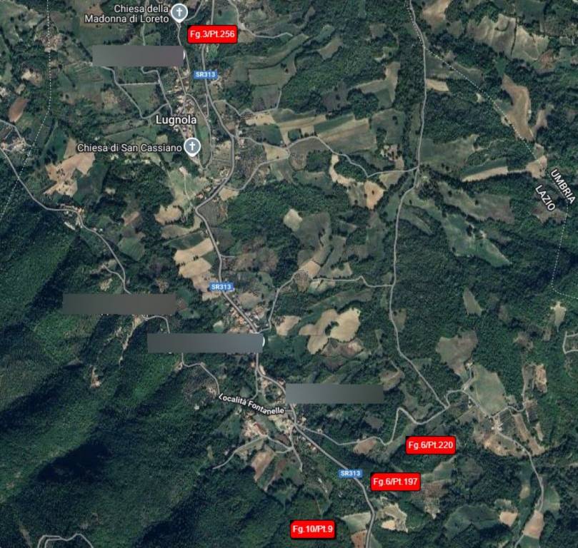 immagine annuncio 10 di 11