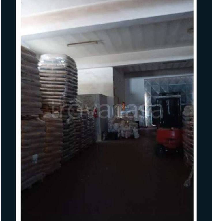 immagine annuncio 5 di 12