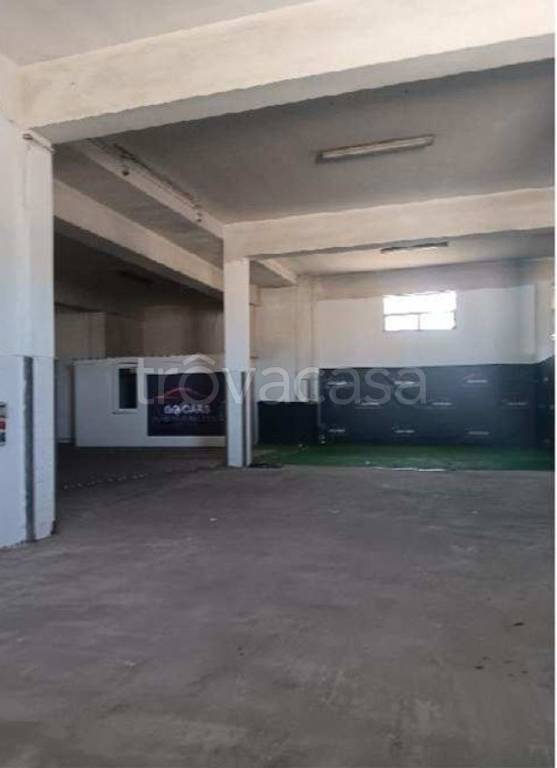 immagine annuncio 8 di 12