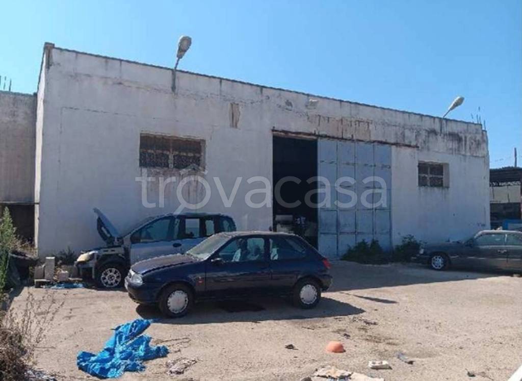 immagine annuncio 2 di 12