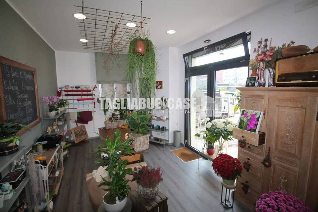 immagine annuncio 3 di 8