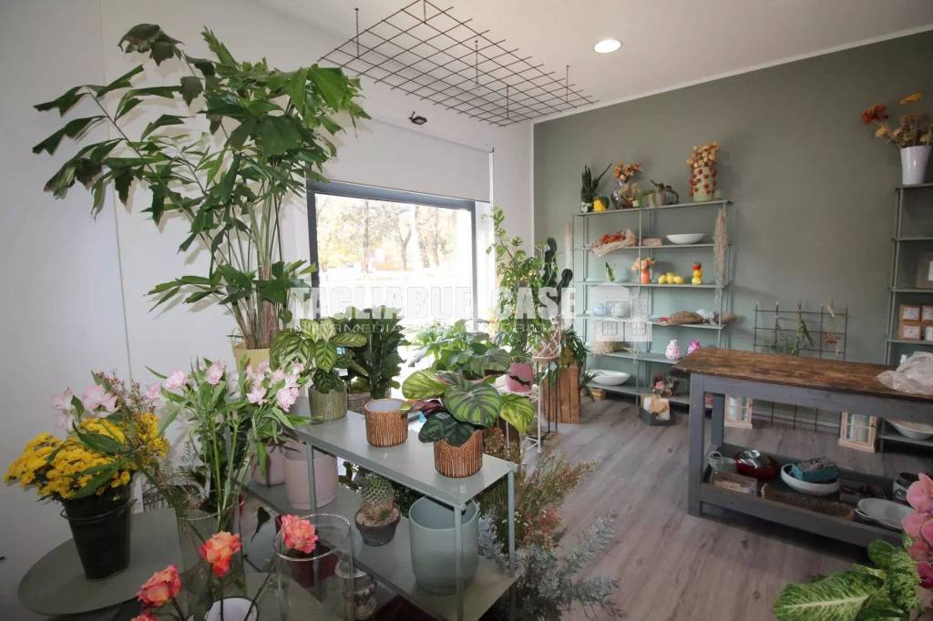 immagine annuncio 4 di 8