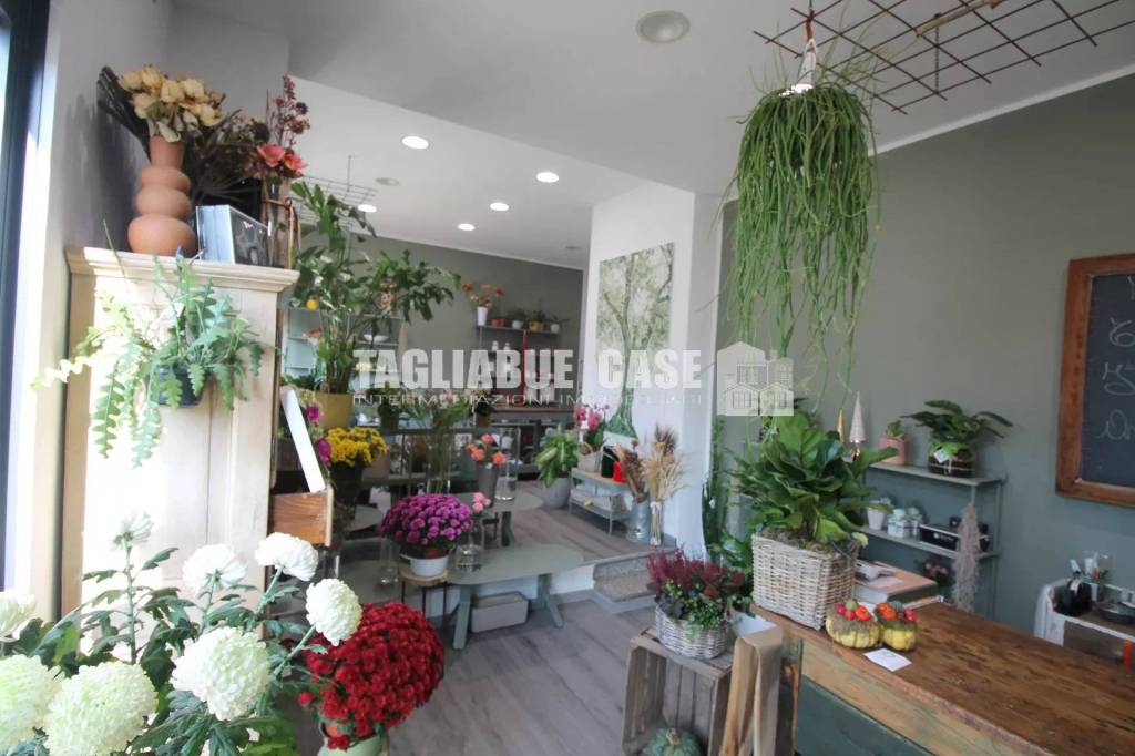 immagine annuncio 5 di 8