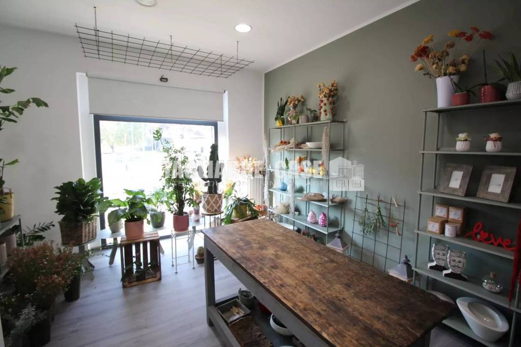 immagine annuncio 6 di 8