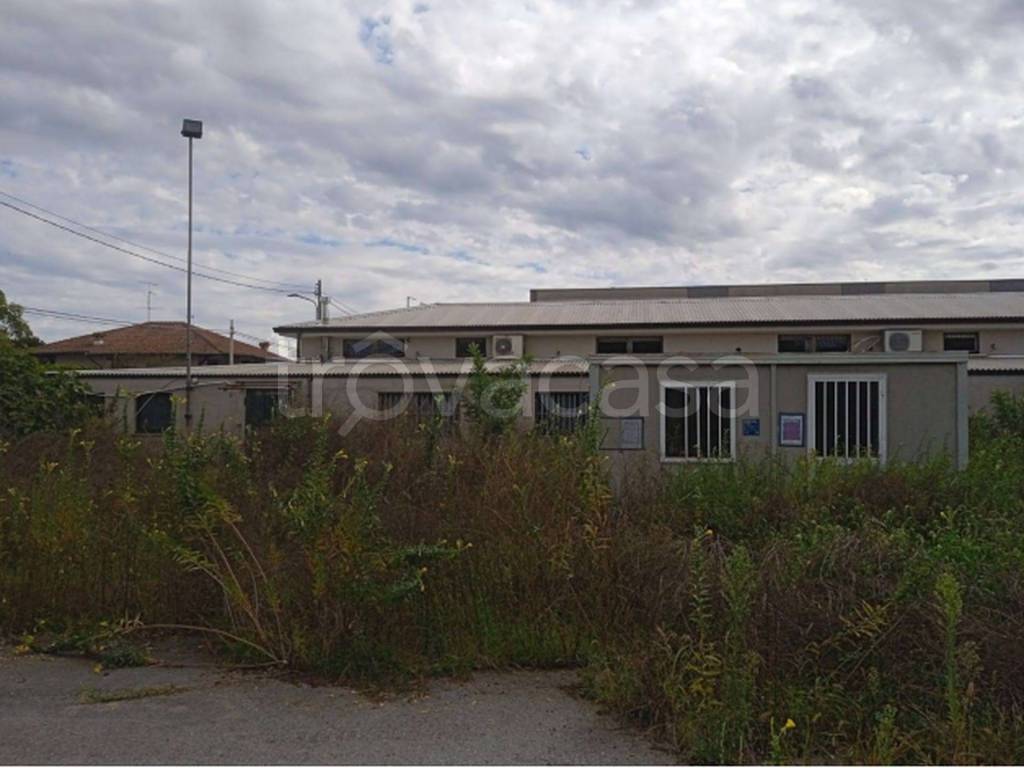 immagine annuncio 4 di 11