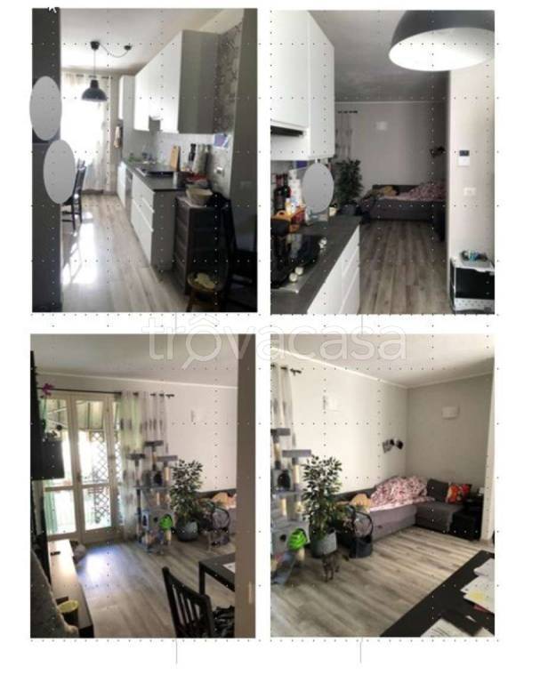 immagine annuncio 9 di 13