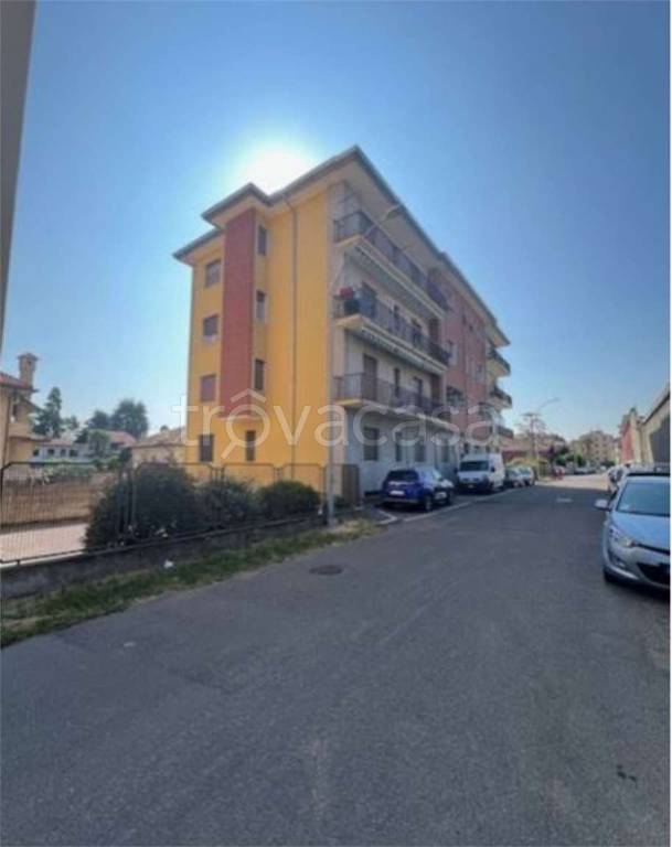 immagine annuncio 3 di 14