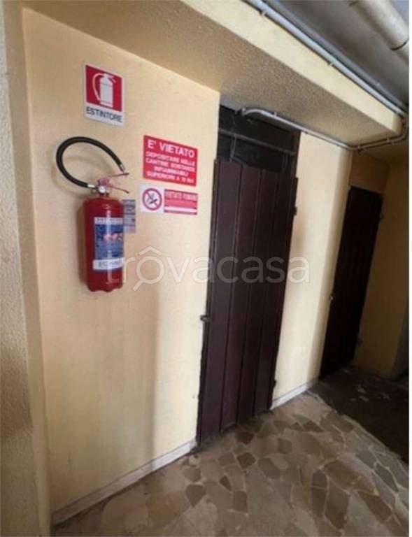 immagine annuncio 5 di 14