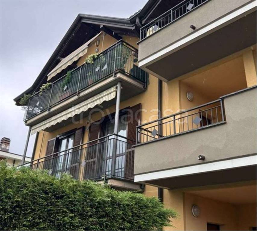 immagine annuncio 2 di 11