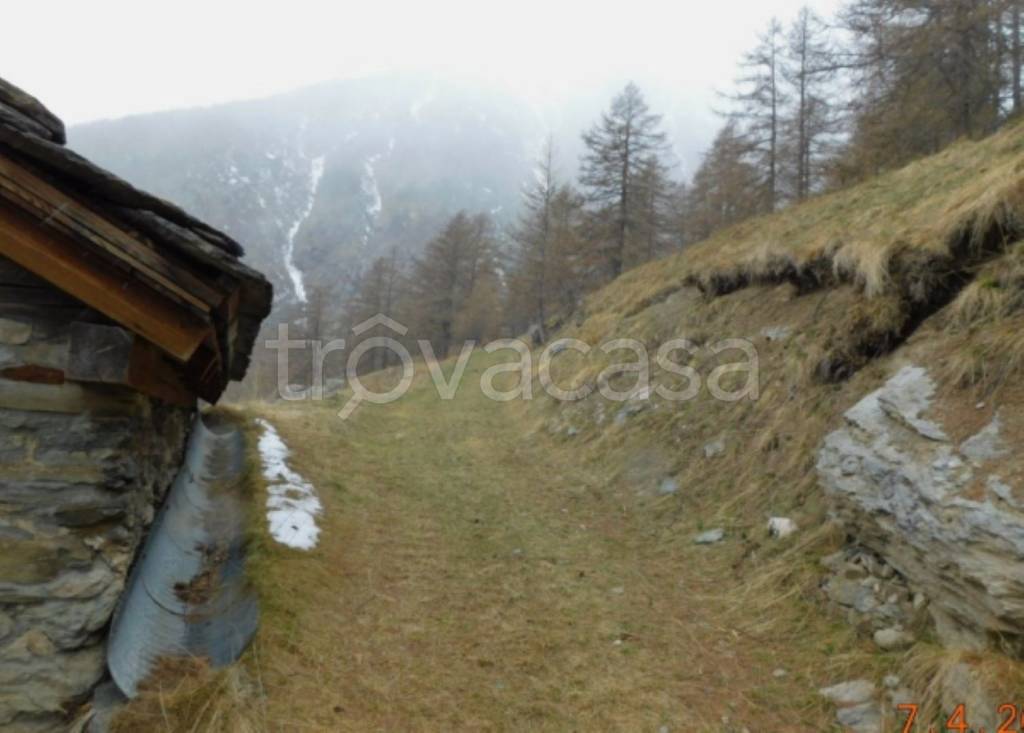 immagine annuncio 4 di 11