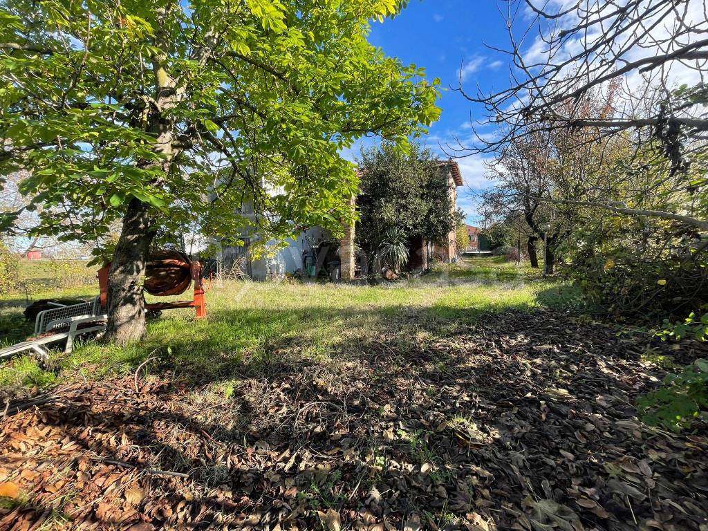 immagine annuncio 6 di 8