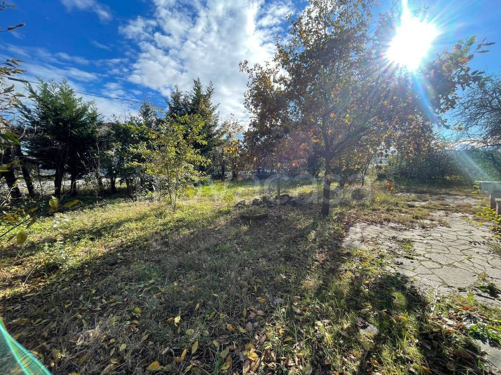 immagine annuncio 4 di 8