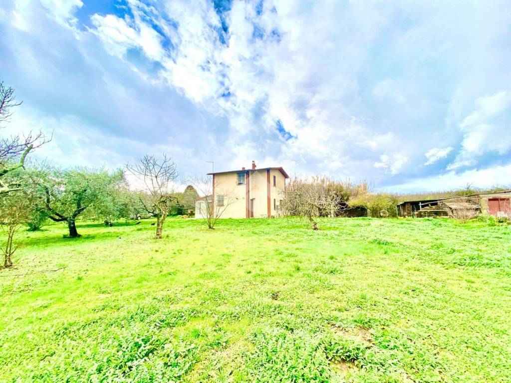 immagine annuncio 8 di 14