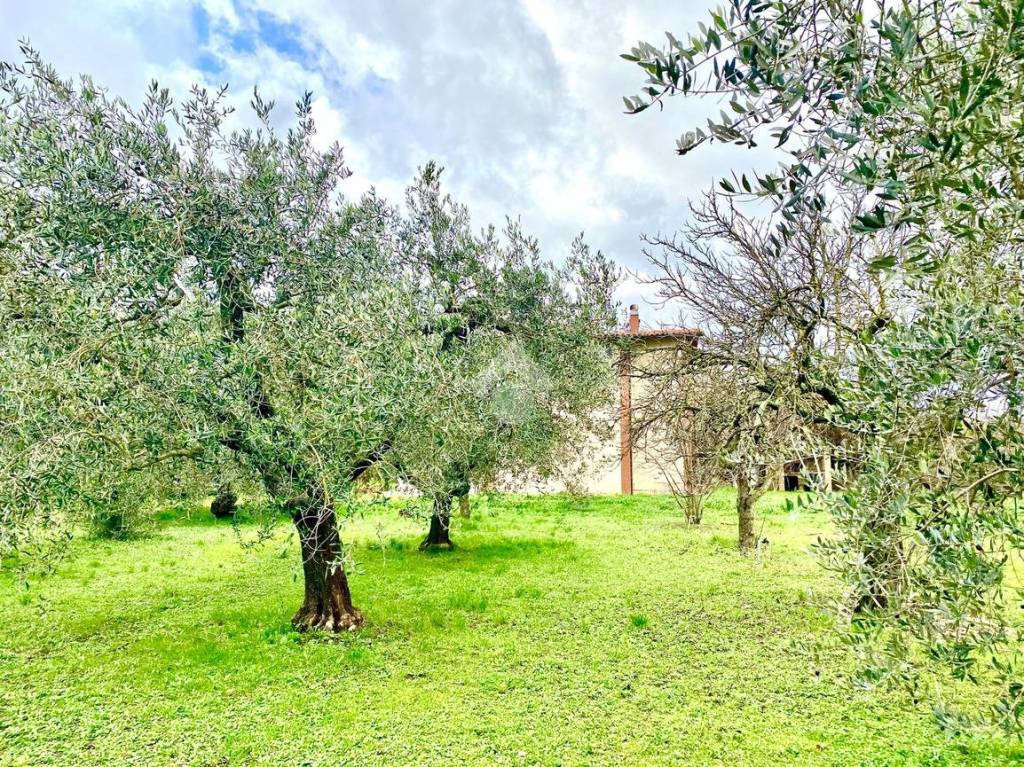 immagine annuncio 10 di 14