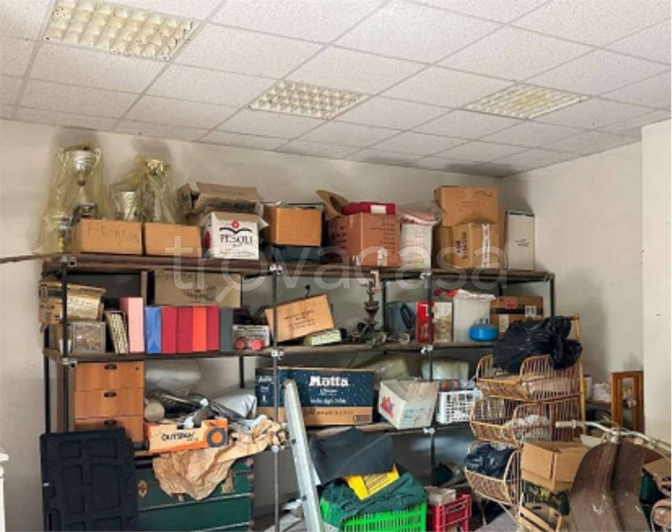 immagine annuncio 2 di 6