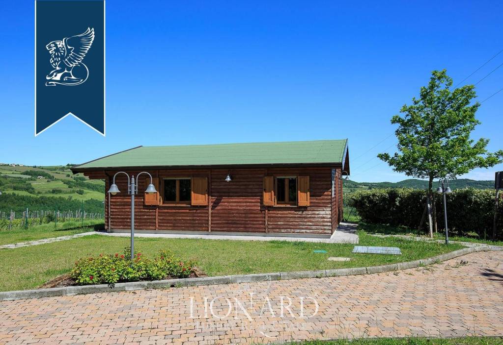 immagine annuncio 6 di 15