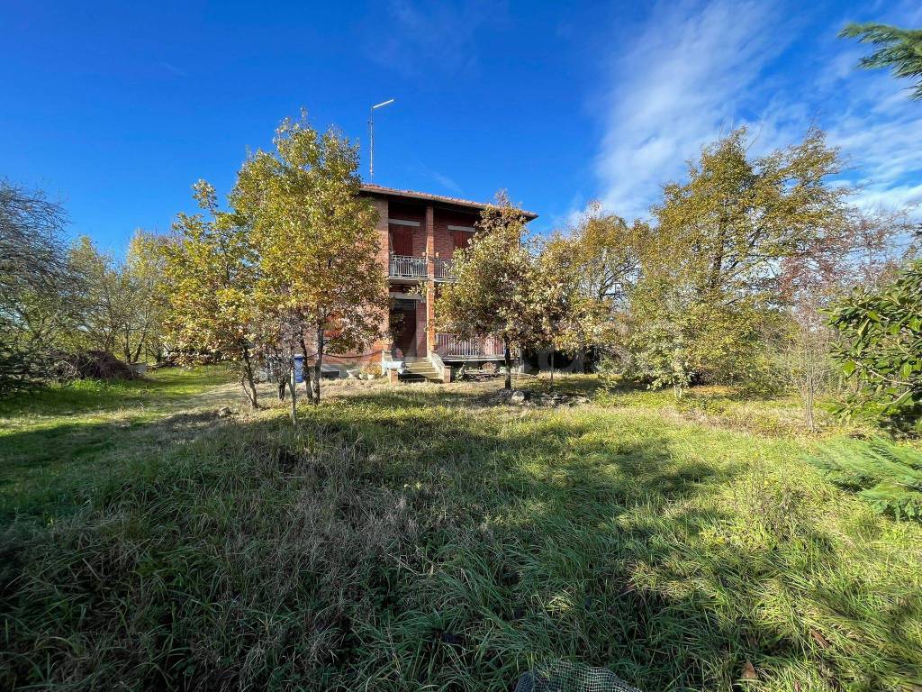 immagine annuncio 2 di 8