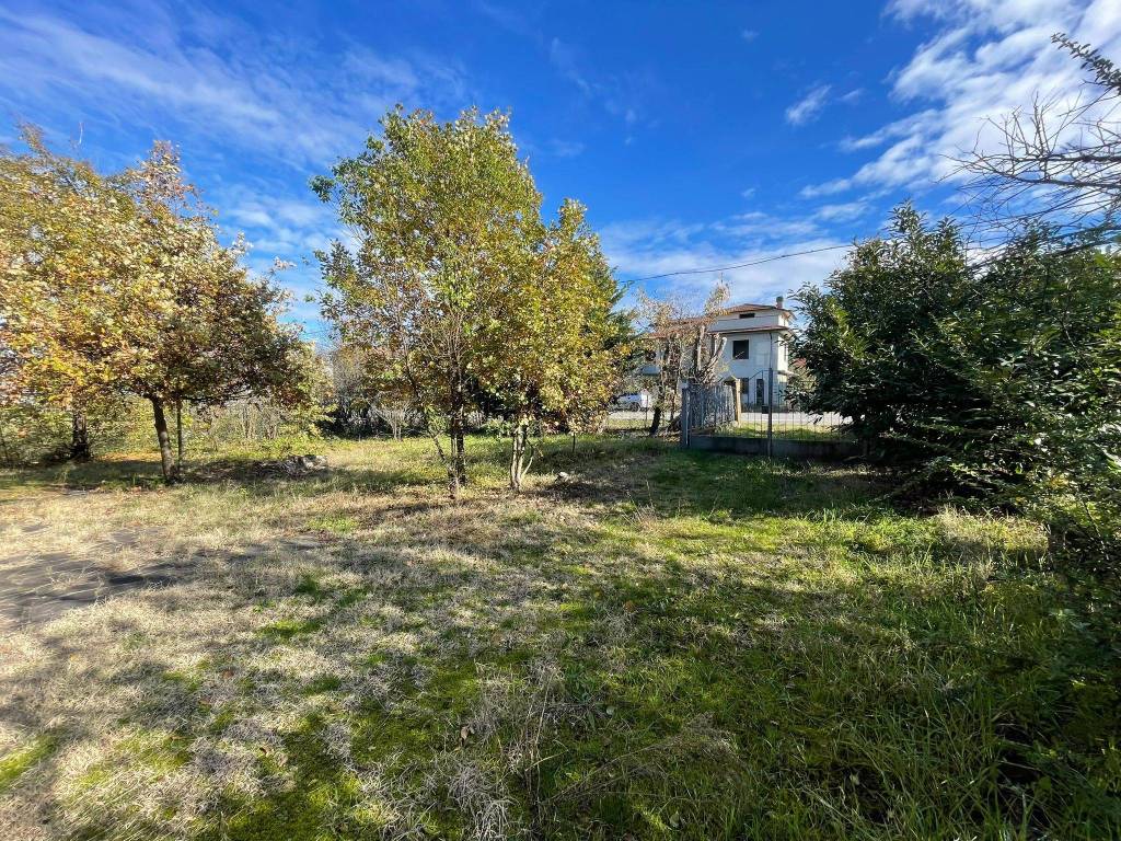 immagine annuncio 5 di 8