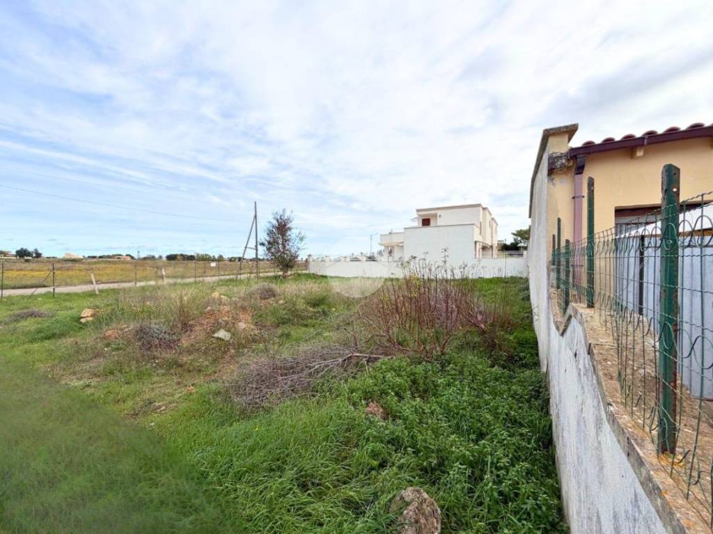 immagine annuncio 2 di 6