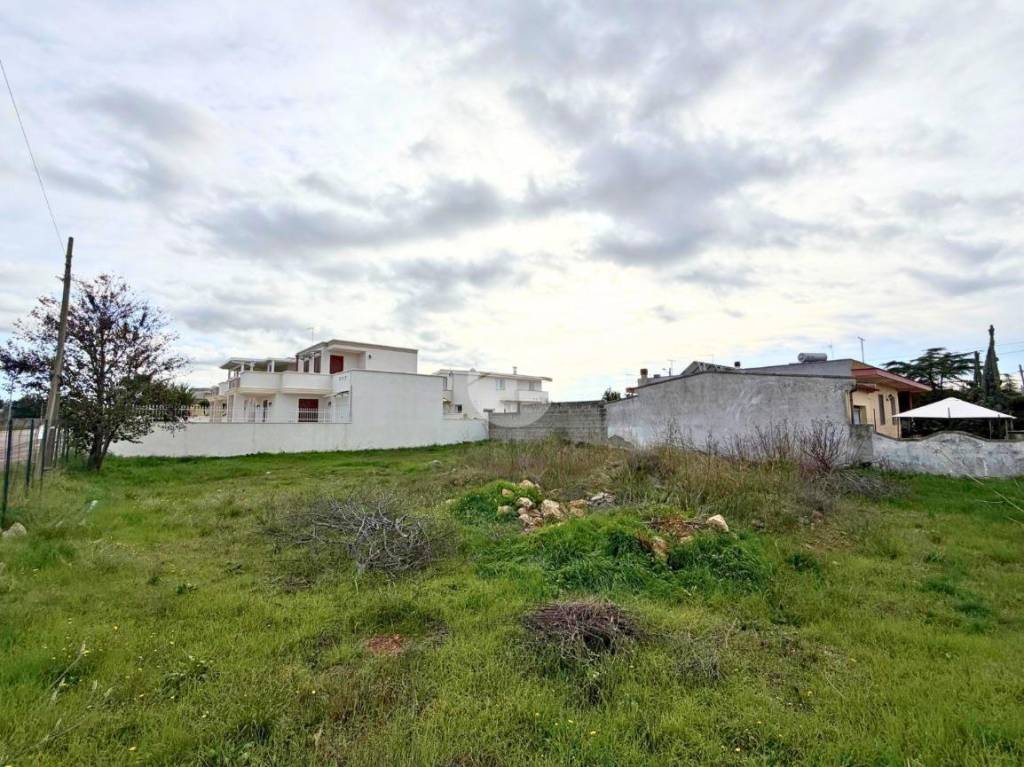 immagine annuncio 3 di 6