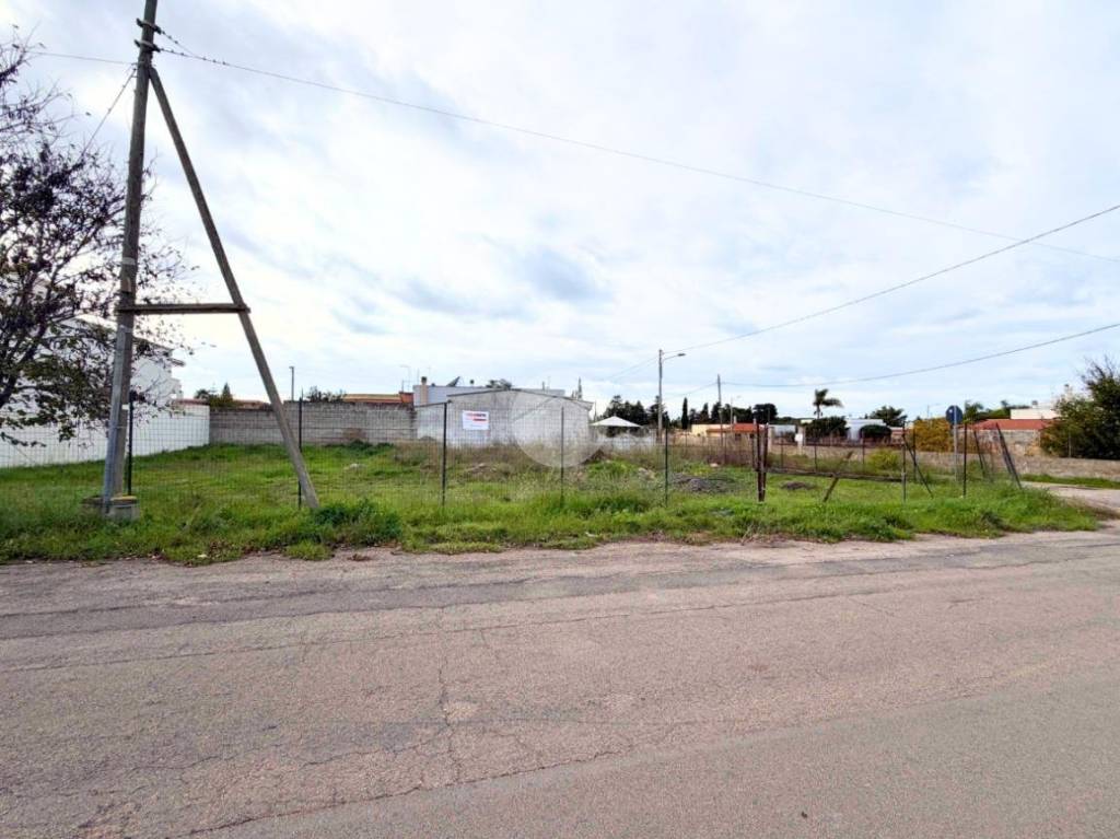 immagine annuncio 4 di 6