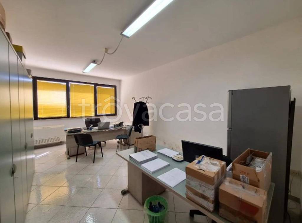 immagine annuncio 4 di 14