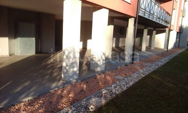 immagine annuncio 2 di 7