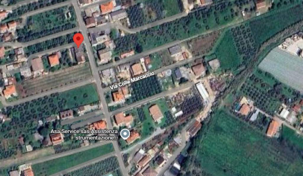 immagine annuncio 6 di 11