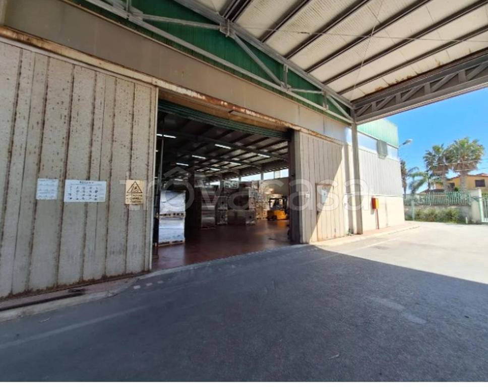 immagine annuncio 6 di 14