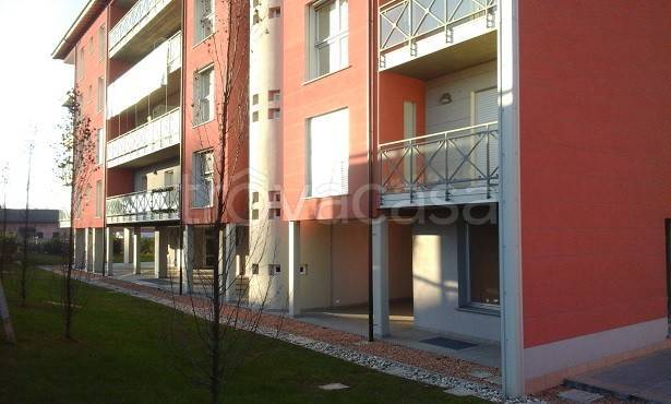 immagine annuncio 6 di 7