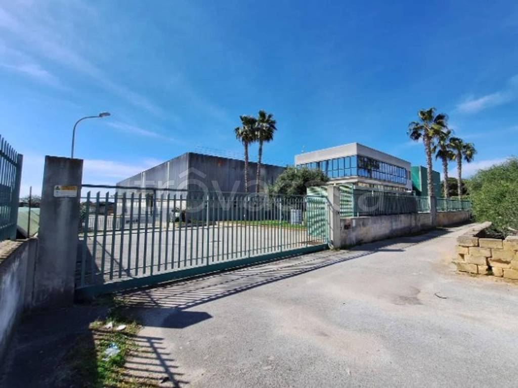 immagine annuncio 8 di 14