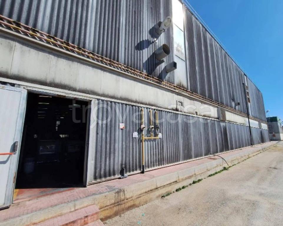 immagine annuncio 9 di 14