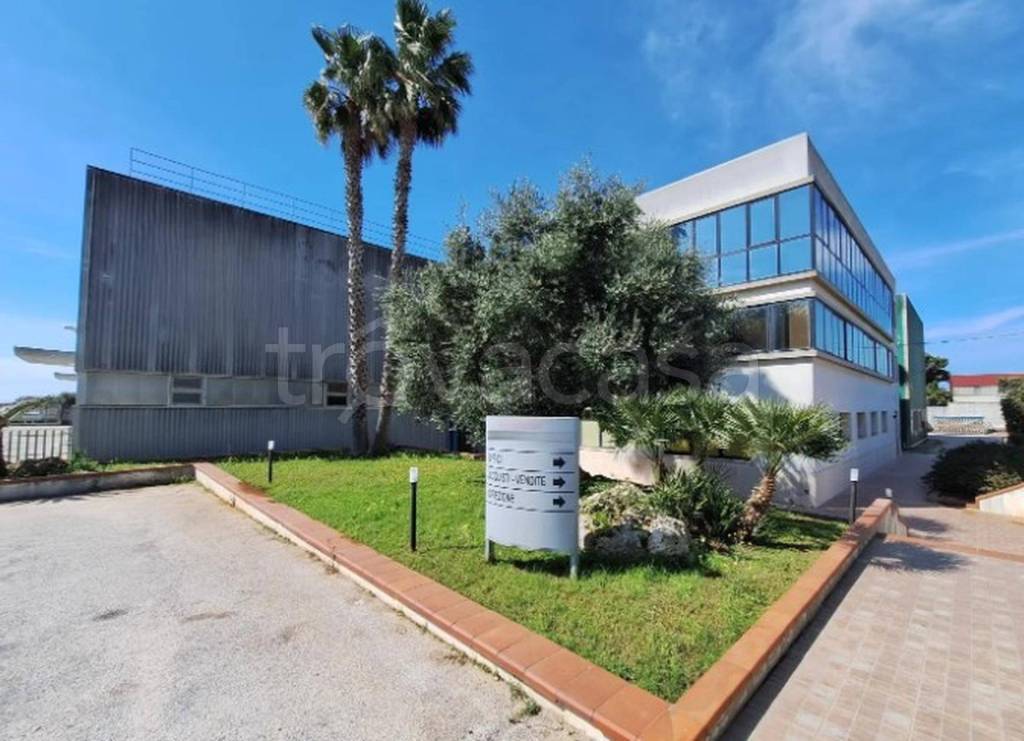 immagine annuncio 10 di 14