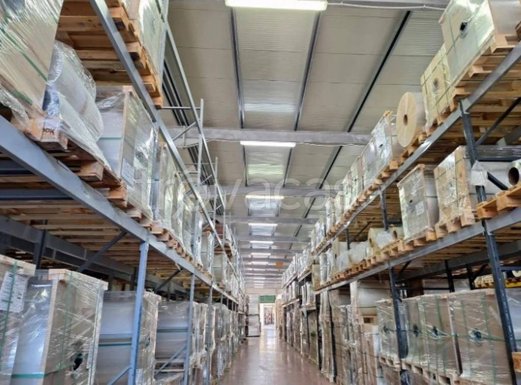 immagine annuncio 12 di 14